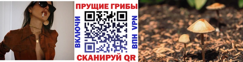 Псилоцибиновые грибы ЛСД  продажа наркотиков  Сатка 