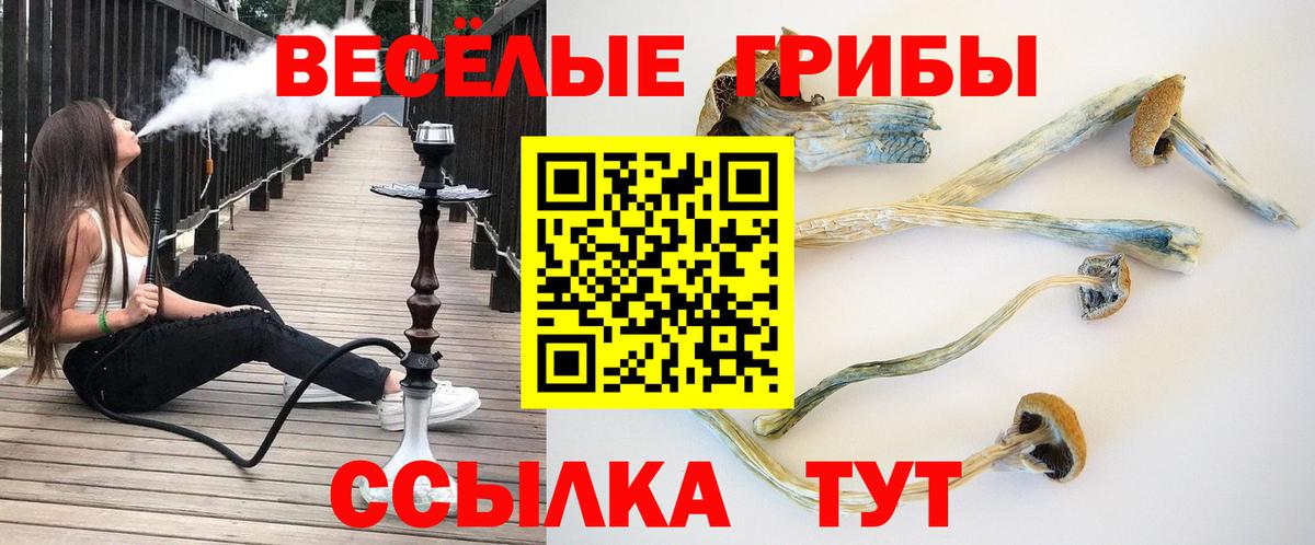 Каннабис  Сатка  СОЛЬ CK  НБОМе  Метамфетамин  Конопля  Меф  Вход с VPN  MDMA  Кокаин 